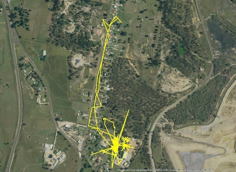 Australian cat tracking map