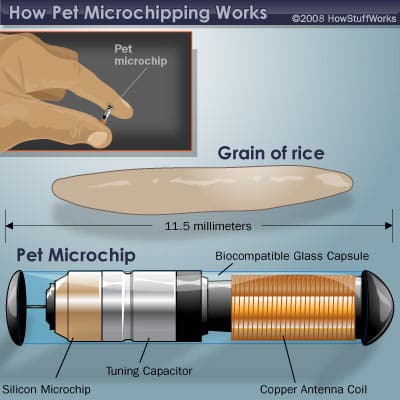 Construction of a pet microchip