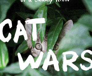 Cat wars: The devastating consequences of a cuddly killer