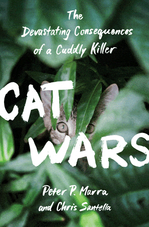 Cat wars: The devastating consequences of a cuddly killer