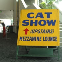Oscillot cat fence at the Auckland Cat Show