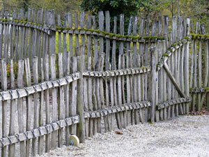 falling down fence