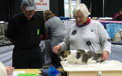 Oscillot Cat Fence at the Hamilton Cat Show