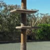 Mega 3 Cat Climbing Post