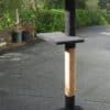 MEGA-2 cat climbing post
