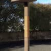 MEGA-1 Cat Climbing Post