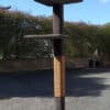 Super-2 Cat Climbing Post