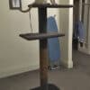 Cat on a Mega-2 cat climbing post
