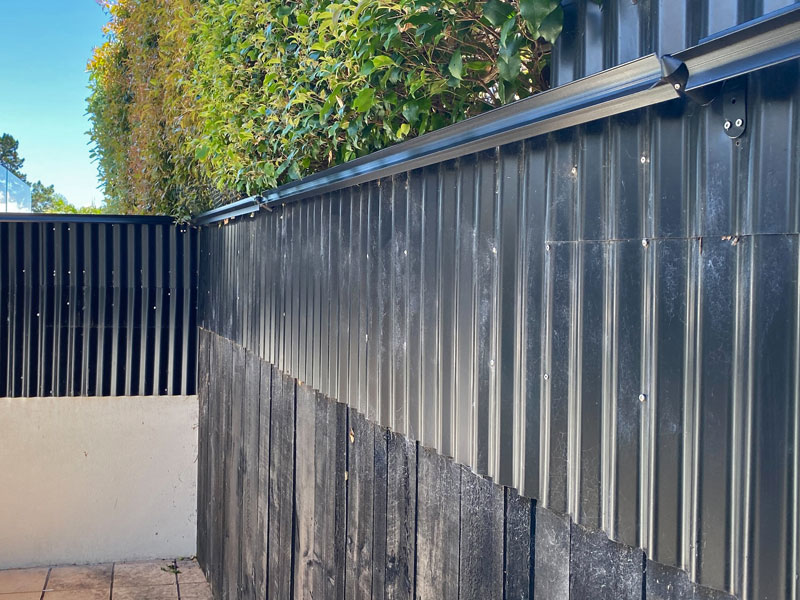 Oscillot on corrugated iron fence