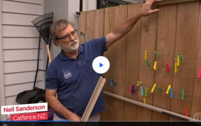 Oscillot cat fence system featured on Seven Sharp TV programme
