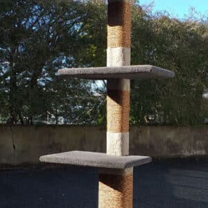 Maxi-3 Plus cat climbing post
