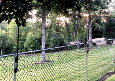 Purrfect Fence on a low chain link fence