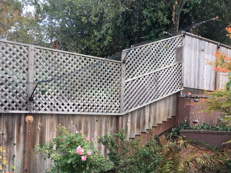 Purrfect Fence cat proof system on a timber fence