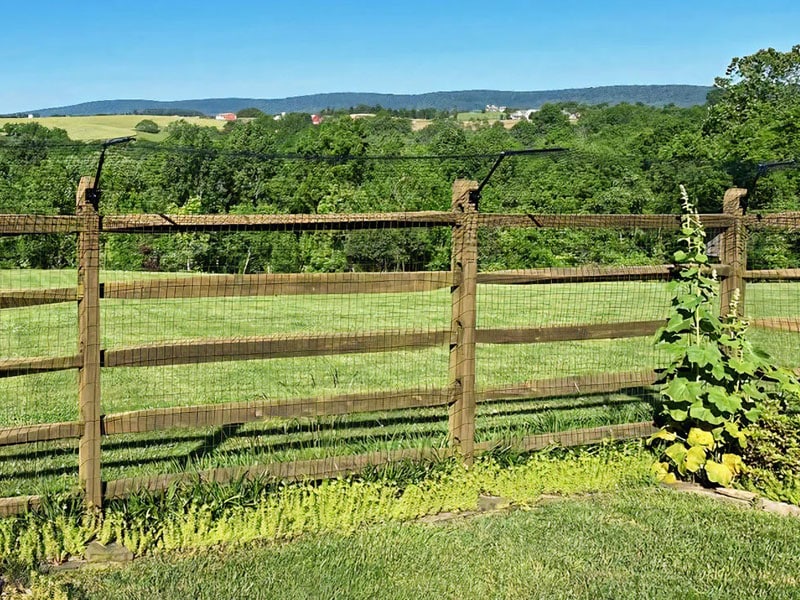 Purrfect Fence cat proof system on a timber fence