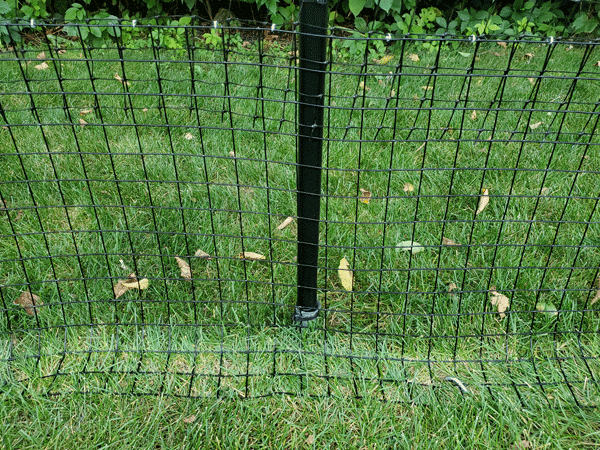 Purrfect Fence Dig Guard