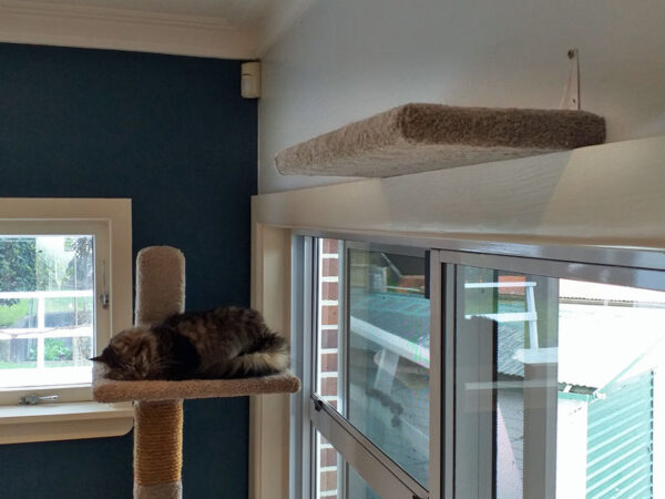 Cat pad attached to wall over door