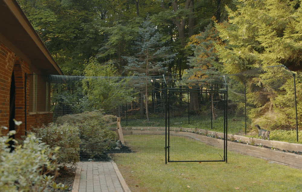 Purrfect Fence Freestanding System with Heavy Duty Gate