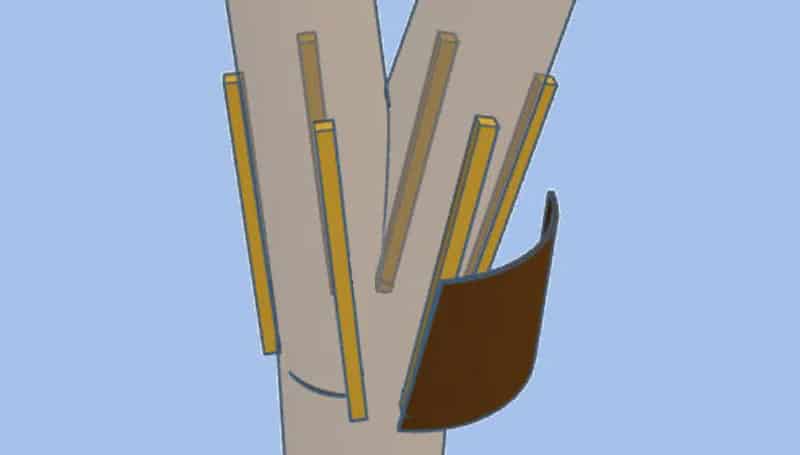 cat-proof banding on a multi-trunk tree