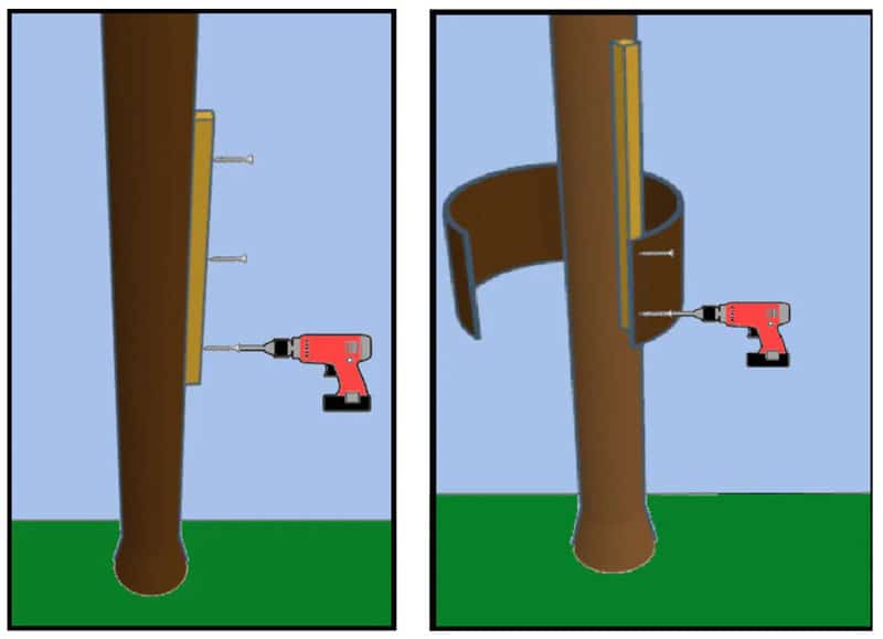 How to attach metal banding to a single tree trunk
