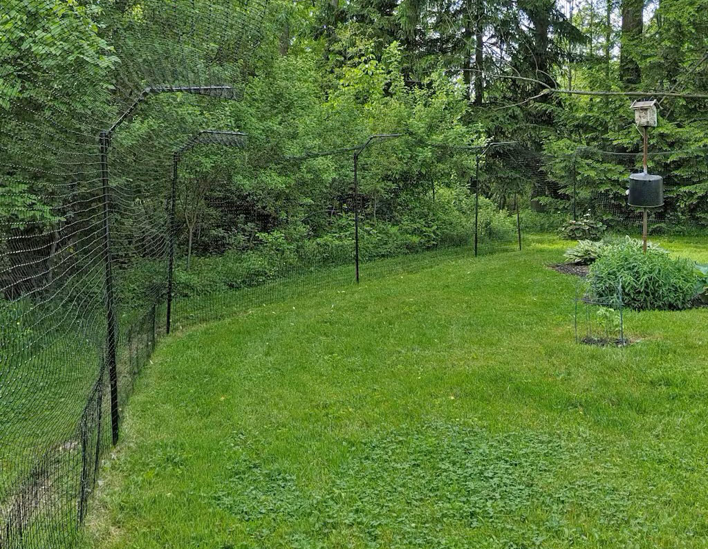 Purrfect Fence freestanding system with trees