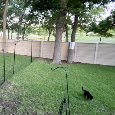Tree banding to prevent cat climbing