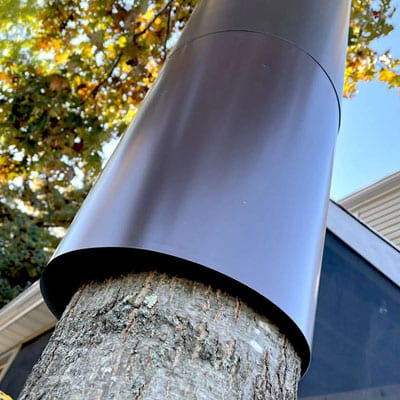 Tree banding to prevent cat climbing