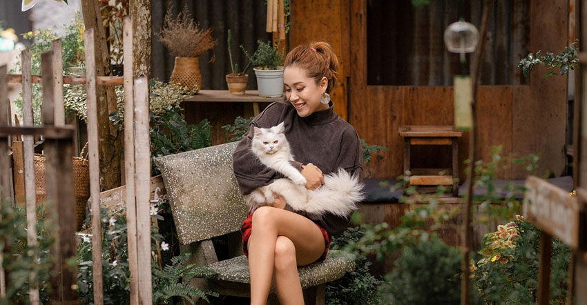 Cat sitting on woman's lap