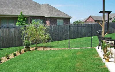 Cat fencing – sometimes less is more