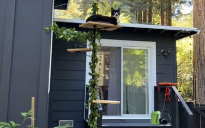 NEW PRODUCT: Purrfect Perch outdoor cat post