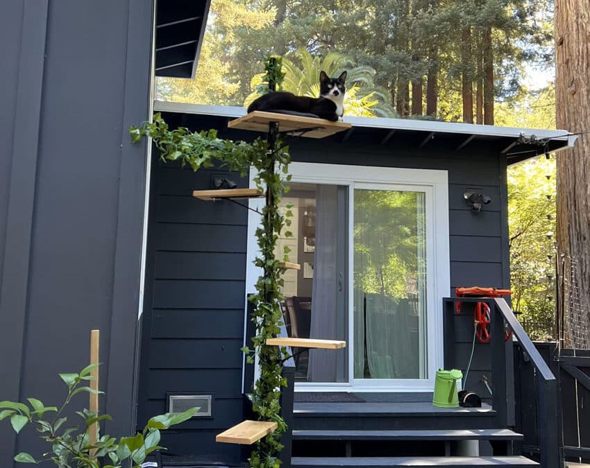 Purrfect Perch outdoor cat post installed on a deck