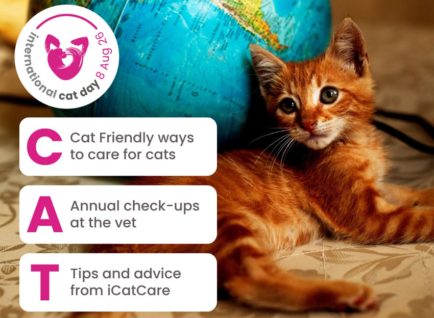 International Cat Day graphic